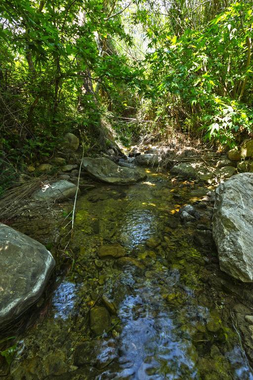 Aspros Potamos Aparthotel Makriyialos Bagian luar foto