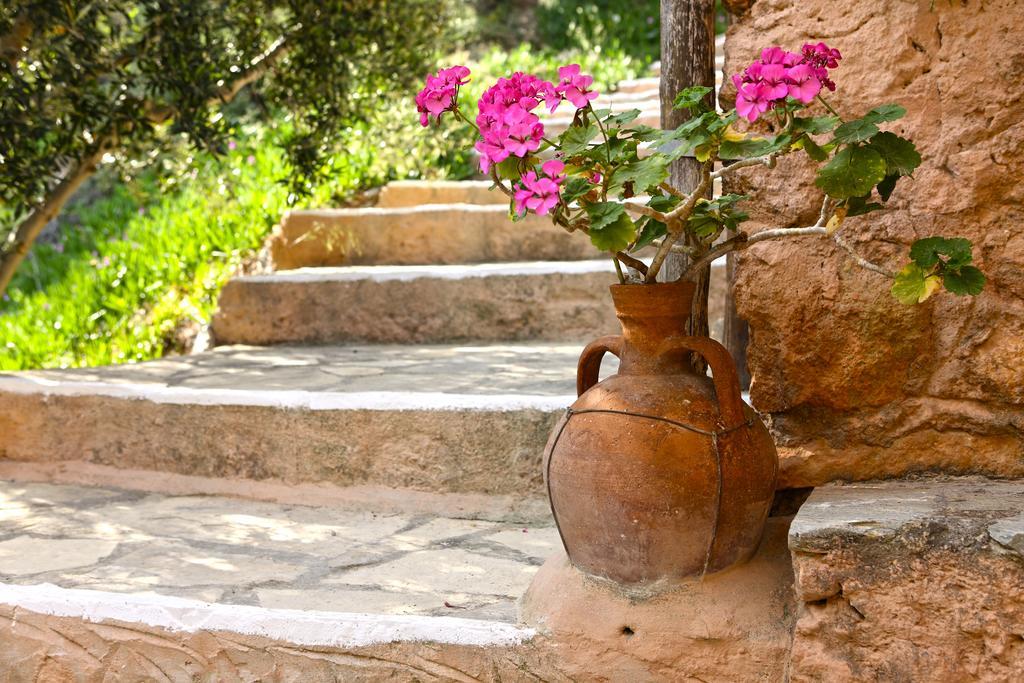 Aspros Potamos Aparthotel Makriyialos Bagian luar foto