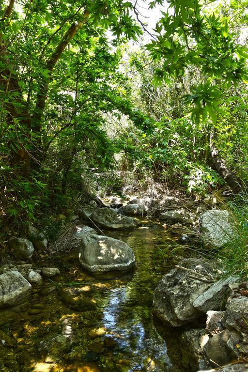 Aspros Potamos Aparthotel Makriyialos Bagian luar foto